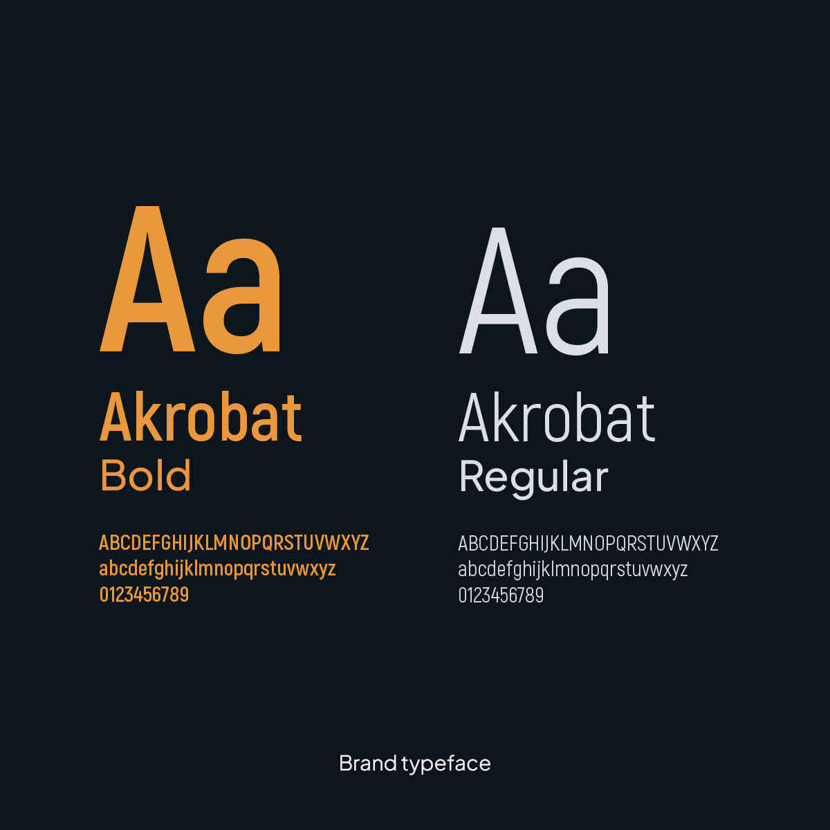 BTL-typeface