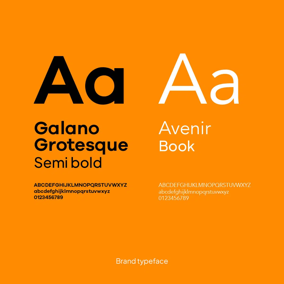 NT-typeface